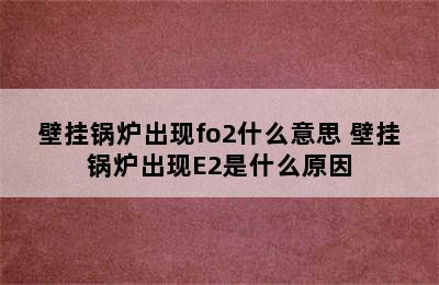 壁挂锅炉出现fo2什么意思 壁挂锅炉出现E2是什么原因